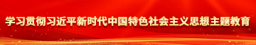 扣逼少萝露逼被焯学习贯彻习近平新时代中国特色社会主义思想主题教育